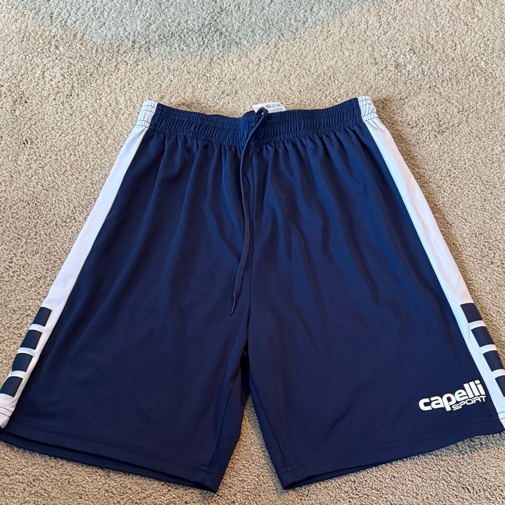 Capelli of New York Men's Blue and White Athletic Shorts